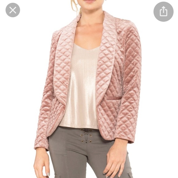 Willow & Clay Jackets & Blazers - Willow & Clay quilted velvet blazer jacket L